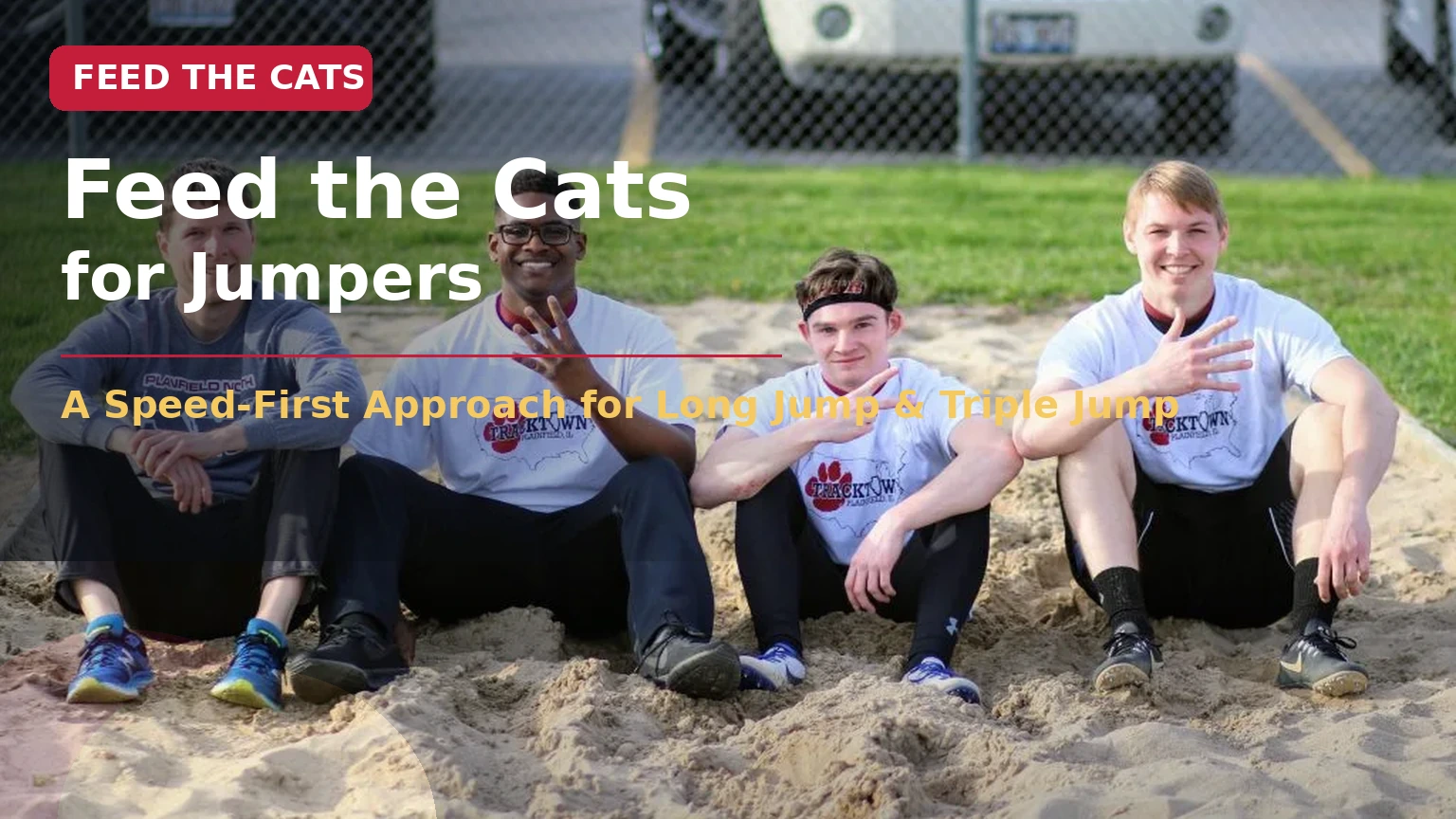 Read more about the article Feed the Cats for Jumpers