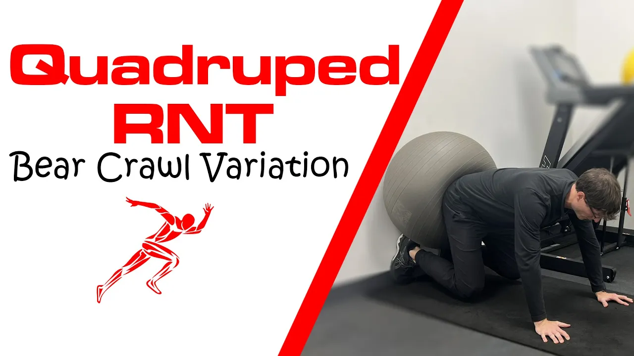 Quadruped RNT Bear Crawl Variation | Core Exercises | Elite Performance ...