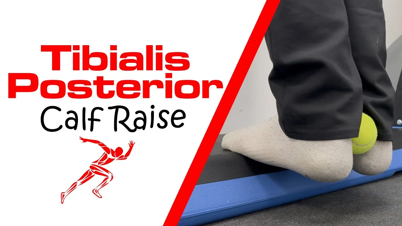 Tibialis Posterior Calf Raise | Calf Exercises | Elite Performance ...