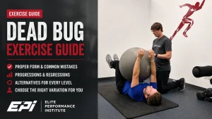 Dead Bug Exercise Guide: Proper Form, Benefits, Progressions & Alternative