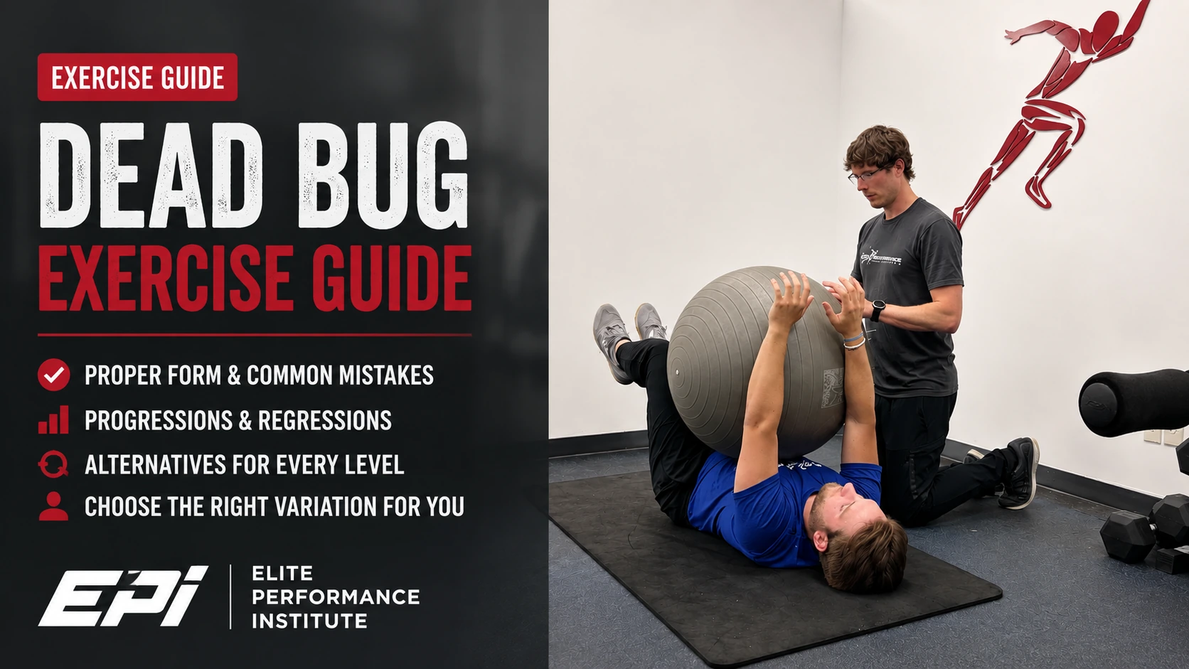 Read more about the article Dead Bug Exercise Guide: Proper Form, Benefits, Progressions & Alternative