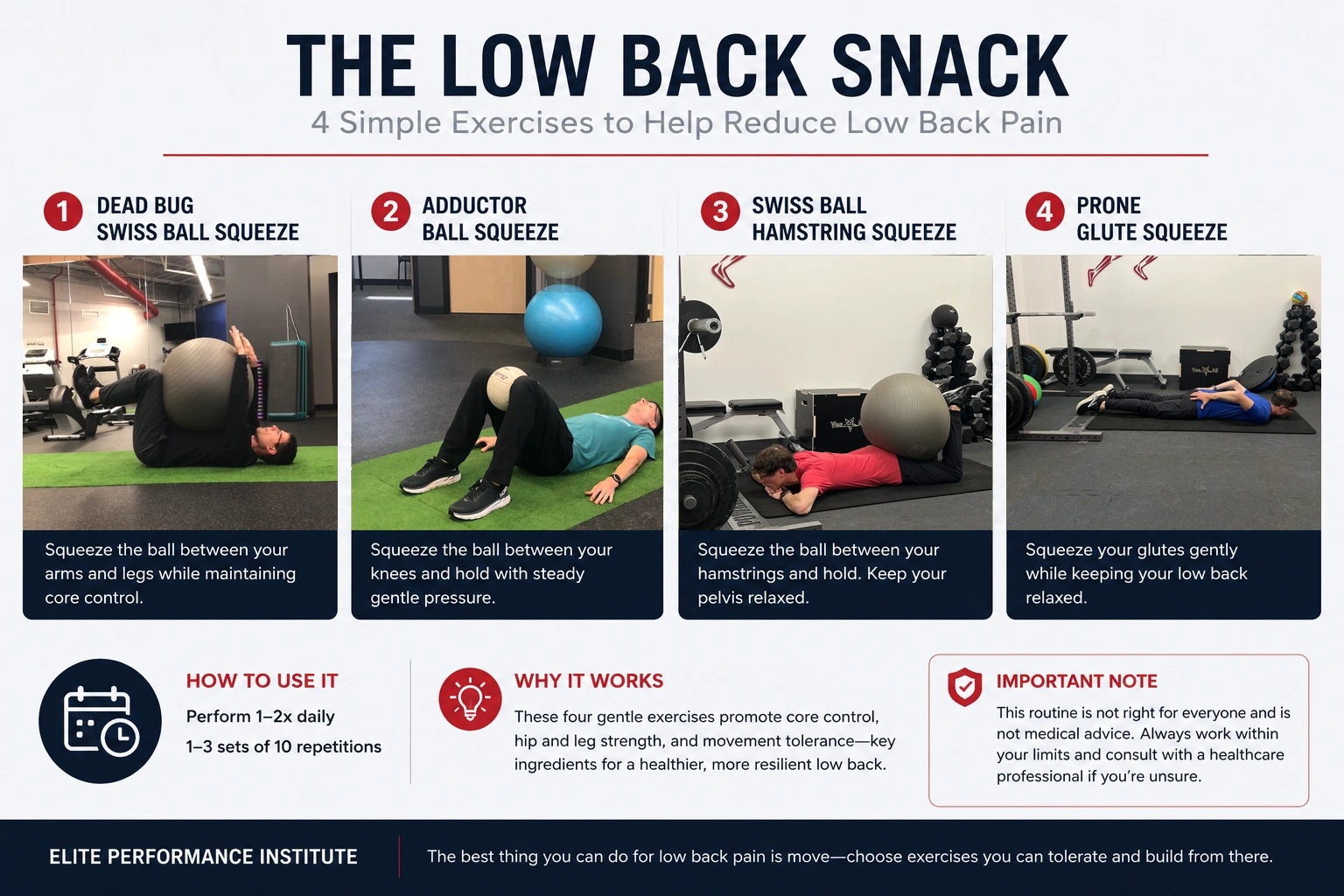 Low Back Snack infographic showing dead bug Swiss ball squeeze, adductor ball squeeze, prone hamstring curl with Swiss ball, and prone glute squeeze