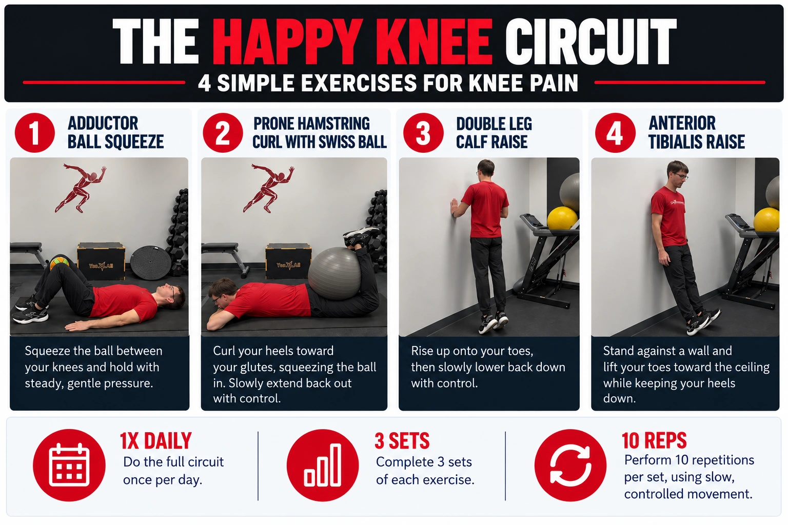The Happy Knee Circuit Exercise Routine Happy Knee Circuit infographic showing Adductor Ball Squeeze, Prone Hamstring Curl With Swiss Ball, Double Leg Calf Raise, and Anterior Tibialis Raise